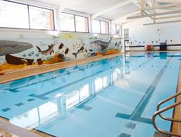 infocus charity swimming pool