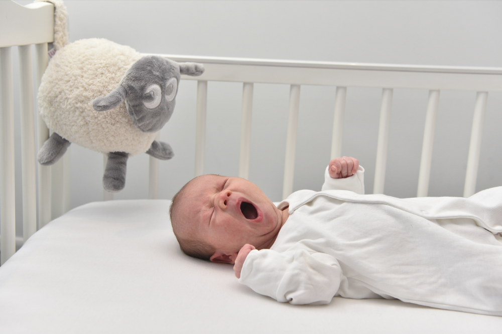 ewan the sheep sweet dreamers