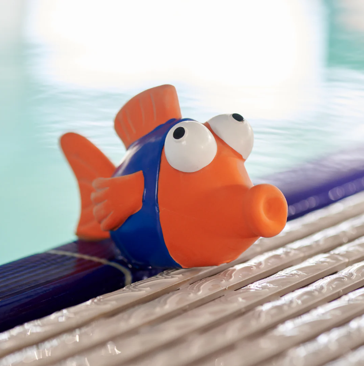smooch the fish pool toy