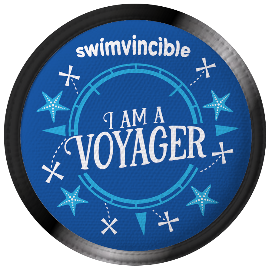 team voyager badge